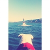 Nom du fichier=10607963_290038837868542_544496086_n.jpg
Taille du fichier=54Ko
Dimensions : 640x640
Ajouté le : 24 Septembre 2014 10607963_290038837868542_544496086_n.jpg