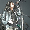 11461019sf6.jpg