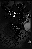 2043410003_1.gif