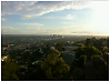 3059621303_1_3_rBGzbK2C.png