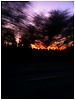 3059692005_1_3_FtsTWo7X.png