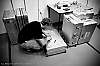 dsc0485.jpg