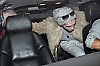 f2037291.jpg