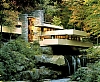 fallingwater12010031414.jpg