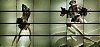 normal_22~8.jpg
