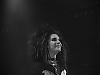Nom du fichier=normal_74606100.jpg
Taille du fichier=9Ko
Dimensions : 400x300
Ajouté le : 13 Juin 2010 normal_74606100.jpg