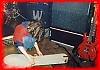 normal_Devilish_20030405_%2837%29.jpg